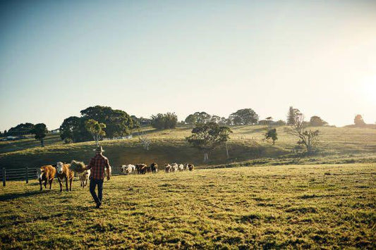 Los pequeños productores, los grandes olvidados